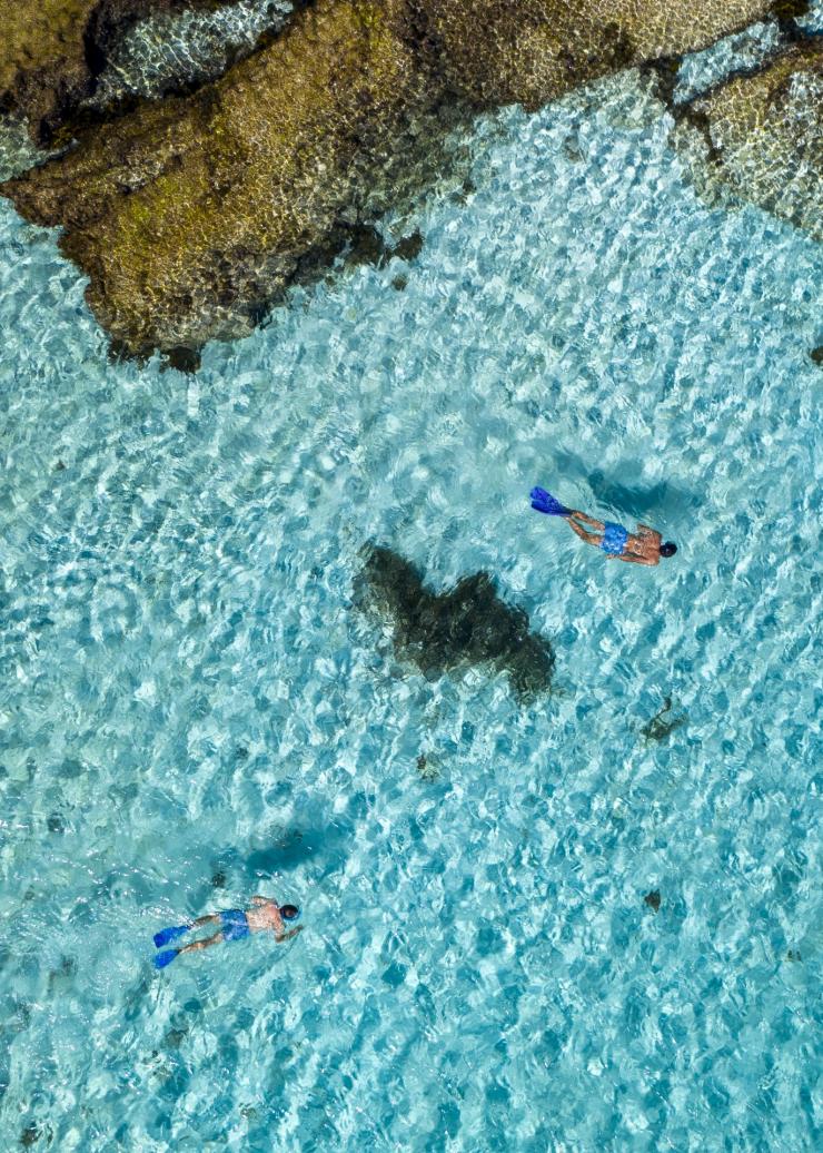 西オーストラリア州、パース、ロットネスト島 © Tourism Australia