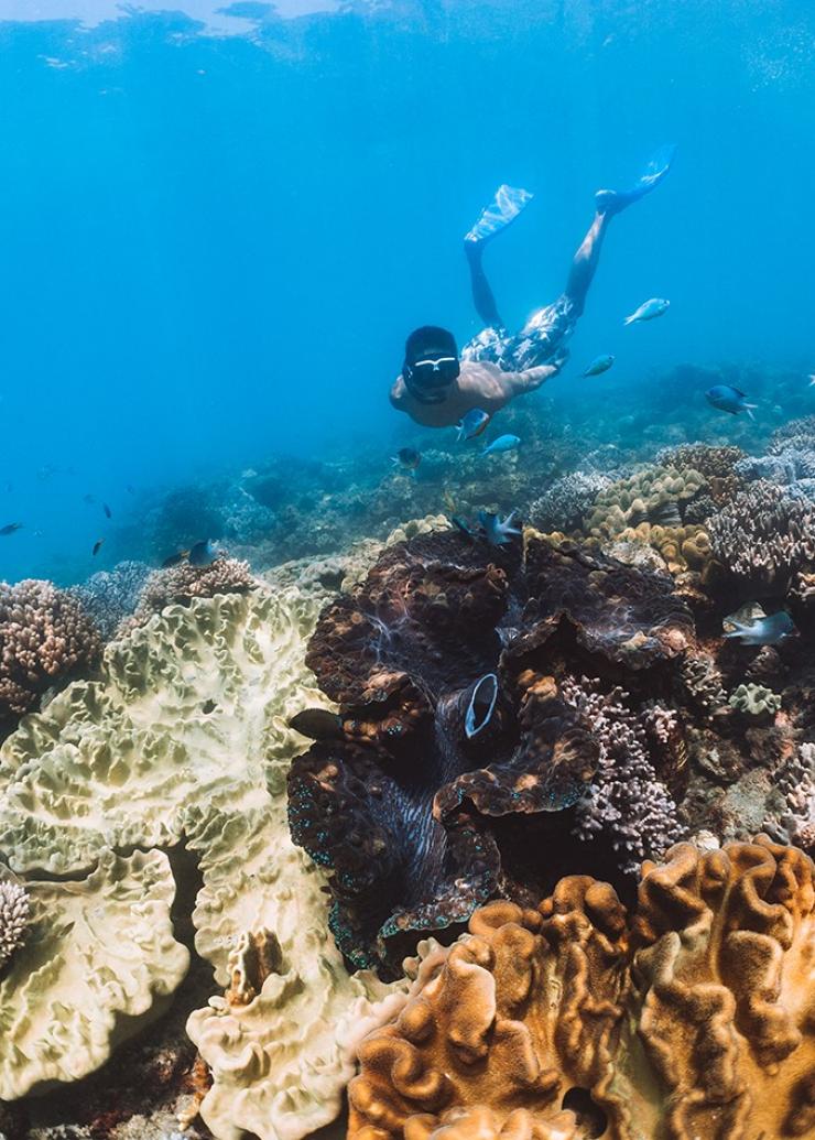 クイーンズランド州、ウィットサンデー諸島、オーシャン・ラフティング © Tourism Australia