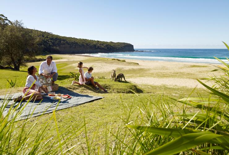 ニュー・サウス・ウェールズ州、サウス・コースト、ペブリー・ビーチ © Tourism Australia