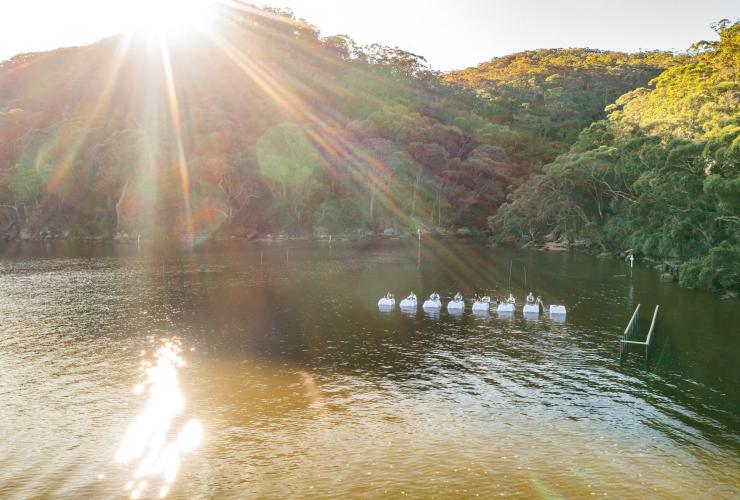 ニューサウスウェールズ州、ムーニー・ムーニー、シドニー・オイスター・ファーム・ツアーズ © Tourism Australia
