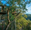 ニューサウスウェールズ州、ブルー・マウンテンズ、ウォレマイ・フォレスト © Wollemi Cabins