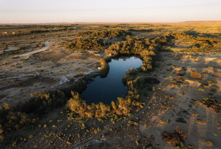 南オーストラリア州、フリンダース山脈とアウトバック、ダルフージー・スプリングス © South Australian Tourism Commission