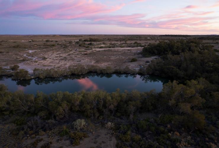南オーストラリア州、フリンダース山脈とアウトバック、ダルフージー・スプリングス © South Australian Tourism Commission