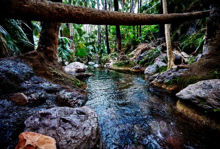 西オーストラリア州、エル・クエストロ・ウィルダネス・パーク、ゼベディー・スプリングス © Tourism Western Australia
