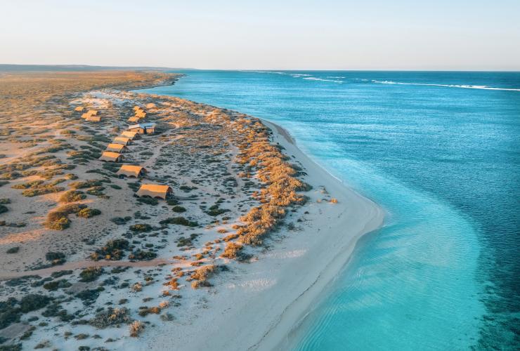 西オーストラリア州、ニンガルーリーフ、サル・サリス © Sal Salis Ningaloo Reef