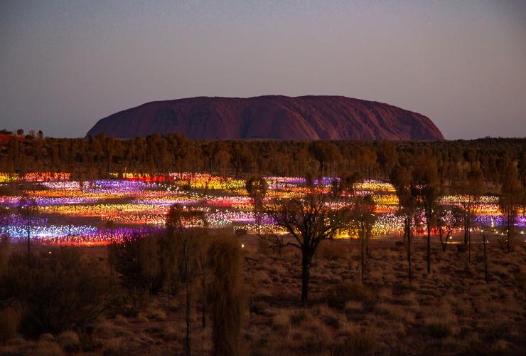 ノーザンテリトリー、ユララ、フィールド・オブ・ライト © Tourism Australia
