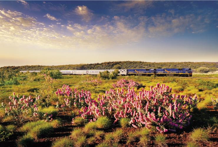 インディアン・パシフィック号 © Great Southern Rail