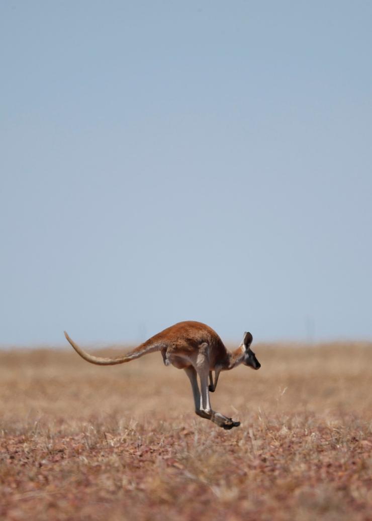 クイーンズランド州、イフラクーム © Tourism and Events Queensland