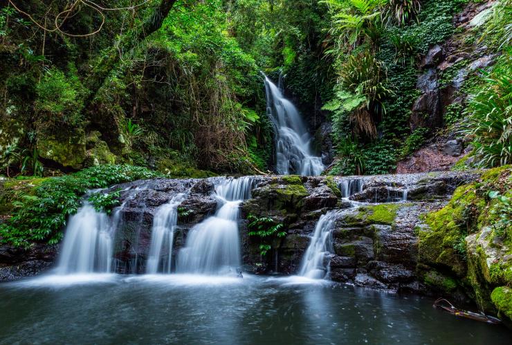クイーンズランド州、ラミントン国立公園、エラバナ滝 © Destination Gold Coast