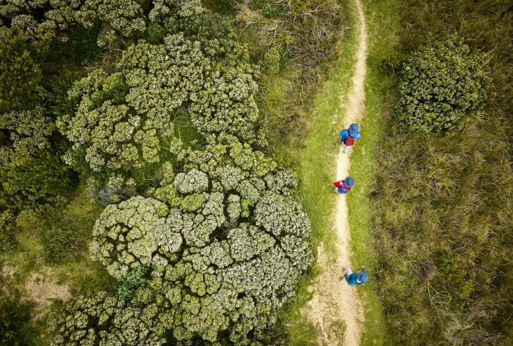 ビクトリア州、グレート・オーシャン・ロード、グレート・オーシャン・ウォーク © Tourism Australia