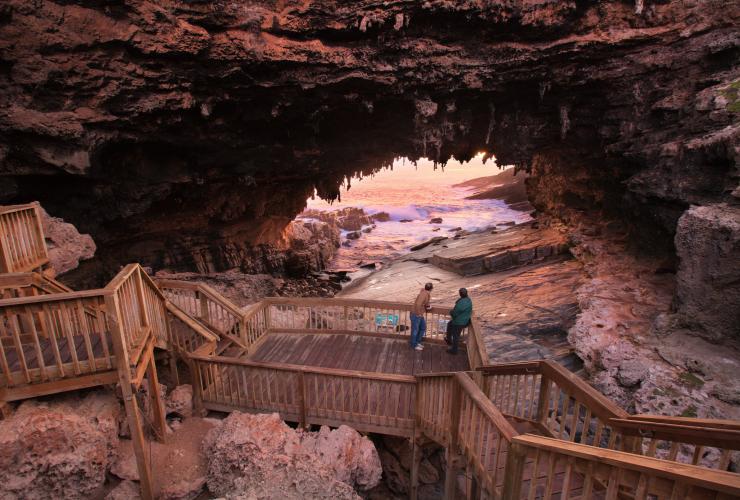 南オーストラリア州、カンガルー島、アドミラルズ・アーチ © Shane Reid