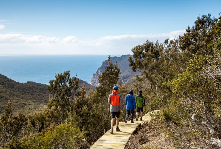 タスマニア州、タスマン半島、スリー・ケープス・トラック © Tasmania Parks and Wildlife Service