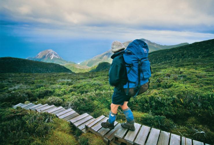 タスマニア州、サウス・コースト・トラック © Tourism Tasmania, Don Fuchs