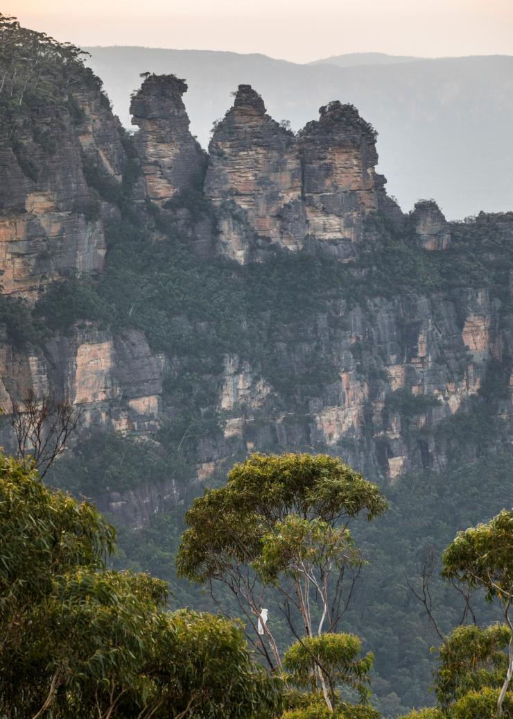 ニュー・サウス・ウェールズ州、ブルー・マウンテンズ、スリー・シスターズ © Destination NSW