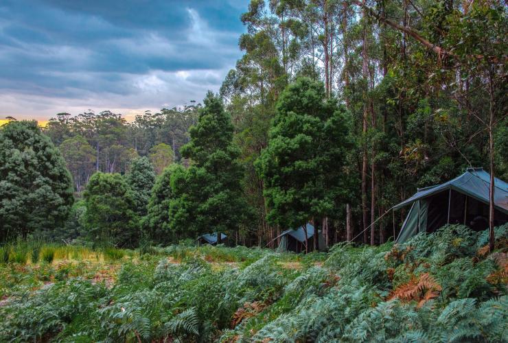 タスマニア州、ブルーニー島、ブルーニー・アイランド・ロング・ウィークエンド © Poon Wai Nang/Tourism Tasmania