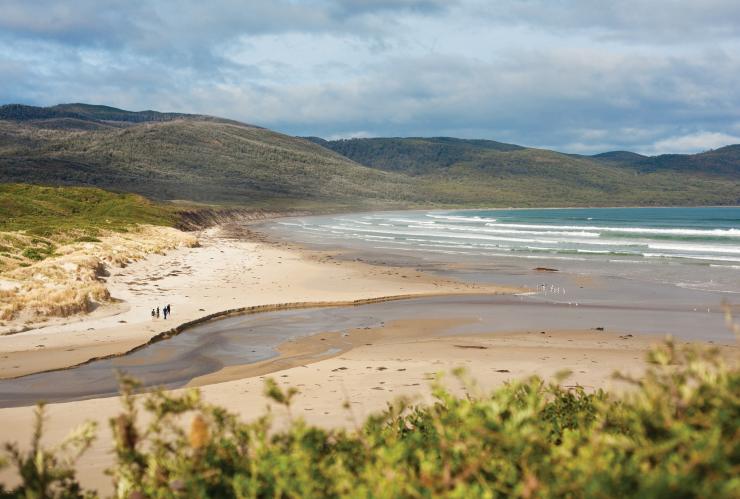 タスマニア州、ブルーニー島、ブルーニー・アイランド・ロング・ウィークエンド © Tourism Tasmania