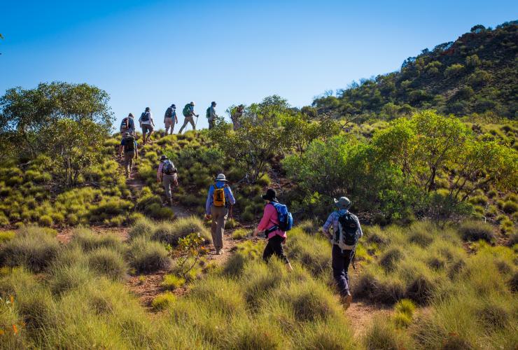 ノーザンテリトリー、西マクドネル山脈、ワールド・エクスペディションズのララピンタ・トレイル © World Expeditions / Great Walks of Australia