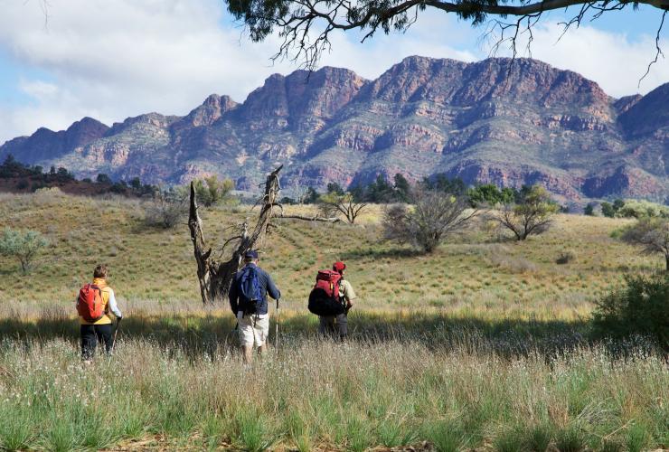 南オーストラリア州、フリンダース山脈、アルカバ・ウォーク、グレート・ウォークス・オブ・オーストラリア © Wild Bush Luxury