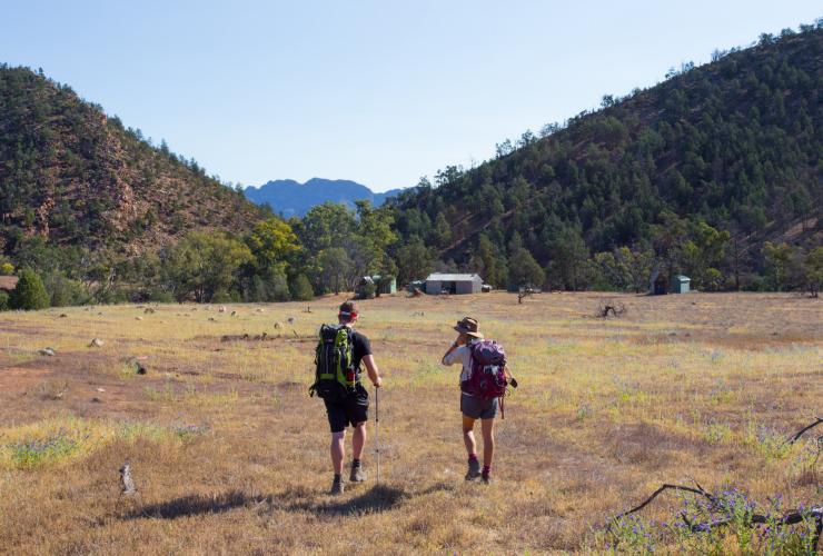 南オーストラリア州、フリンダース山脈、ブラックス・ギャップ・キャンプ、アルカバ・ウォーク © Wild Bush Luxury / Great Walks of Australia