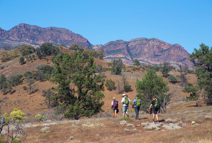 南オーストラリア州、フリンダース山脈、エルダー山脈、アルカバ・ウォーク © Wild Bush Luxury / Great Walks of Australia