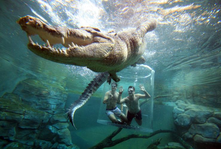 ノーザンテリトリー、ダーウィン、クロコザウルス・コーブでのクロコダイルとの遭遇 © Tourism NT/ Shaana McNaught