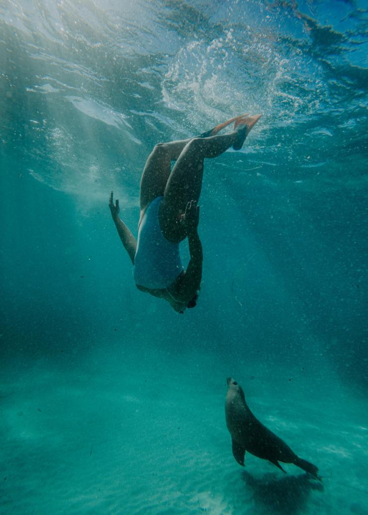 南オーストラリア州、エア半島、カリプソ・スター・チャーターズ © Jaxon Foale