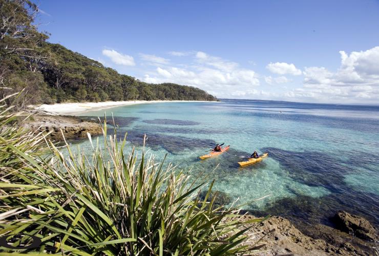 新南威爾士州杰維斯海灣的墨累海灘（Murrays Beach）©Hutchings Camps Pty Ltd