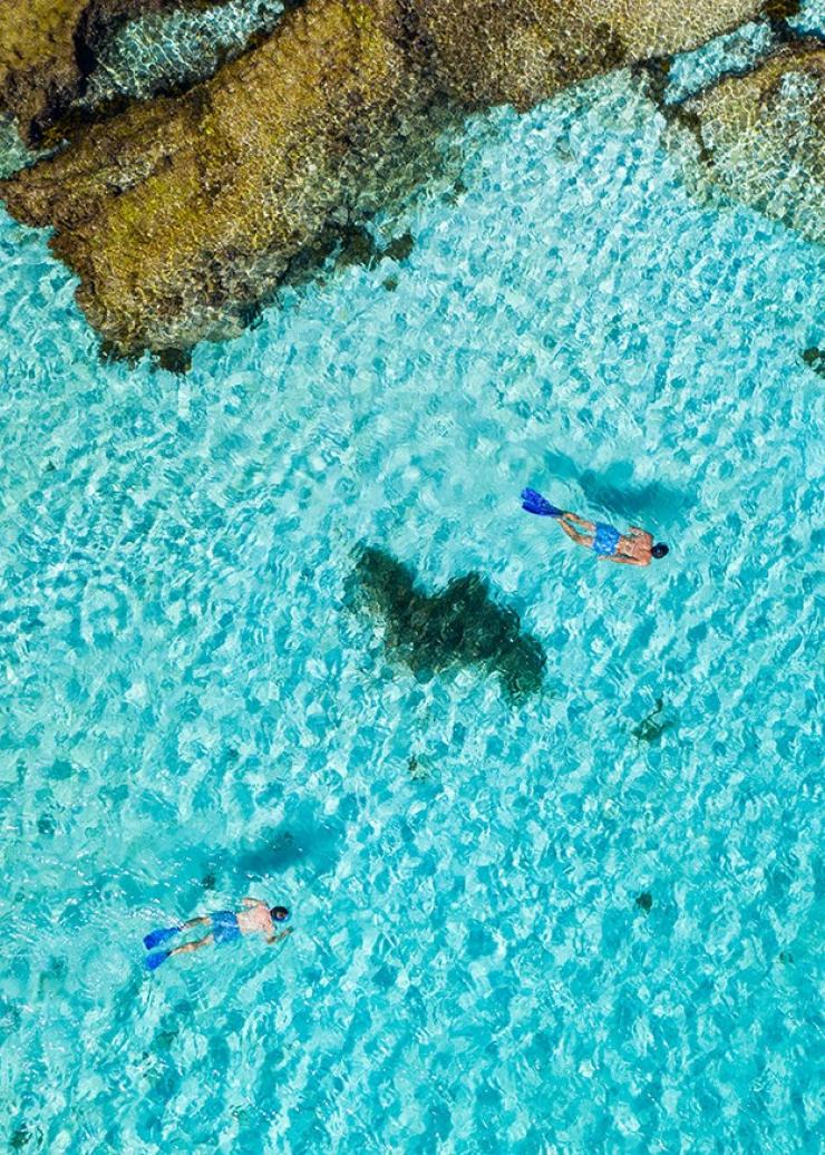 在西澳州（Western Australia）羅特尼斯島的小鮭魚灣浮潛©澳洲旅遊局