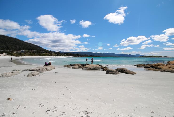 塔斯曼尼亞比奇諾Waubs Bay Beach©塔斯曼尼亞旅遊局/Kathryn Leahy