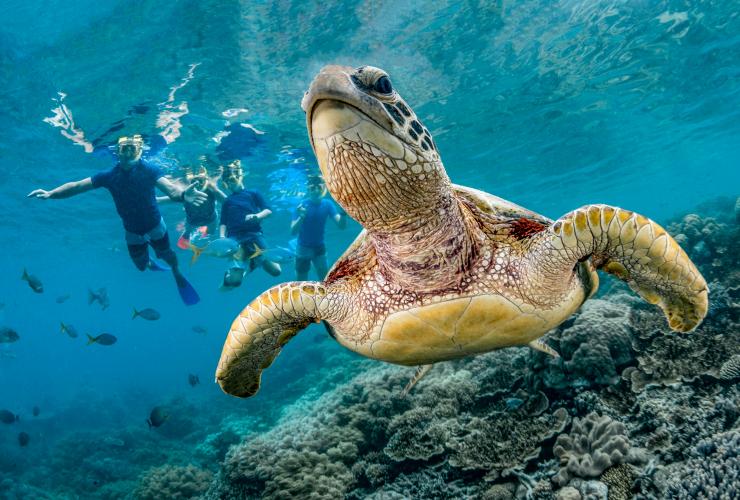 昆士蘭州大堡礁的Sunlover Reef Cruises©昆士蘭旅遊及活動推廣局