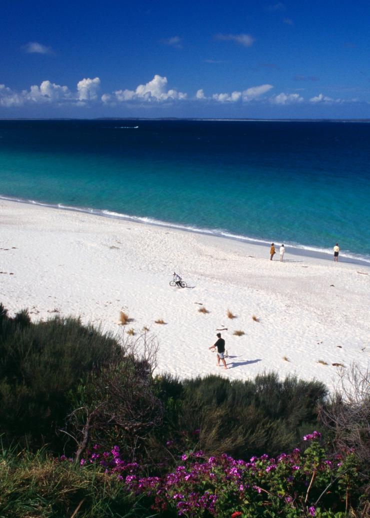 新南威爾士州杰維斯海灣的Hyams Beach©澳洲旅遊局