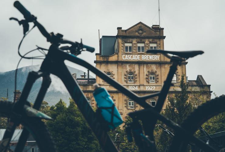 塔斯曼尼亞荷伯特的凱歌啤酒廠©Flow Mountain Bike