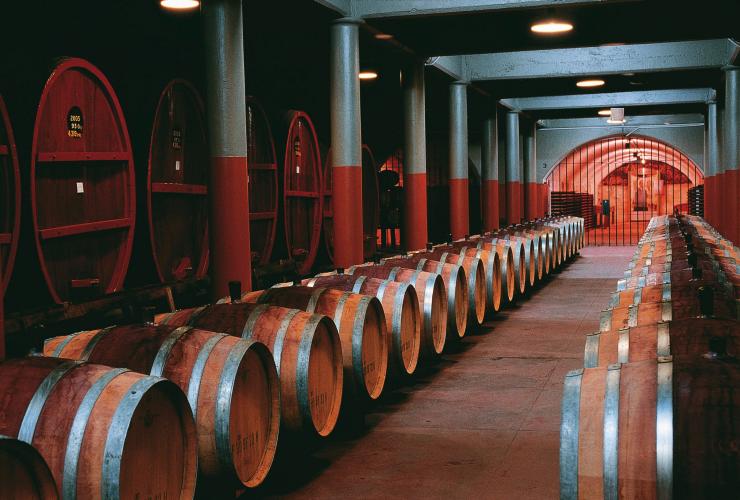 南澳州阿德萊德山的奔富瑪吉爾莊園©Treasury Wine Estates