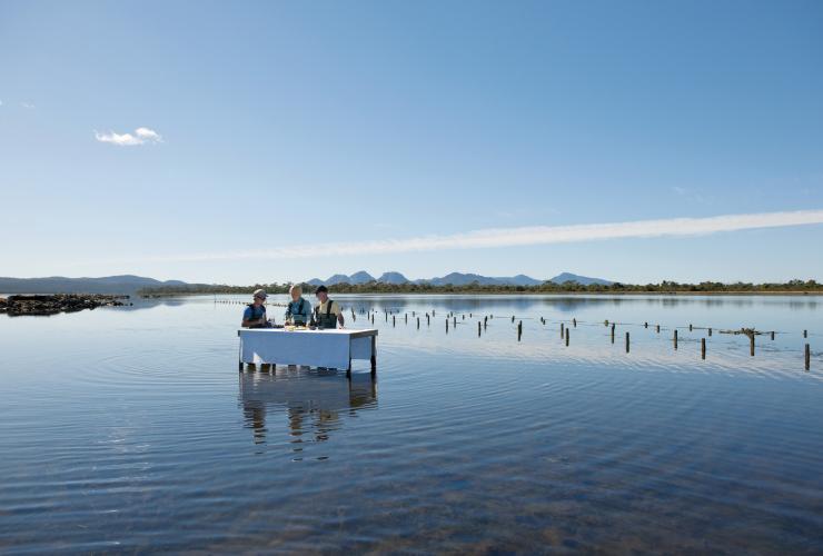 在塔斯曼尼亞Saffire Freycinet菲欣納海洋生蠔養殖場內的開生蠔和餐飲體驗，兩人與導遊站在水中©塔斯曼尼亞旅遊局