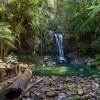 在天寶林國家公園（Tamborine National Park）觀看柯蒂斯瀑布（Curtis Falls）的情侶©黃金海岸旅遊局