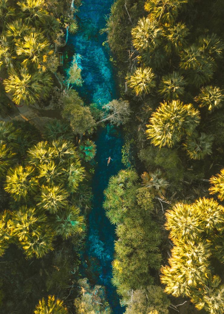 北領地凱瑟琳（Katherine）埃爾西國家公園（Elsey National Park）的苦泉（Bitter Springs）©北領地旅遊局/Mitch Cox