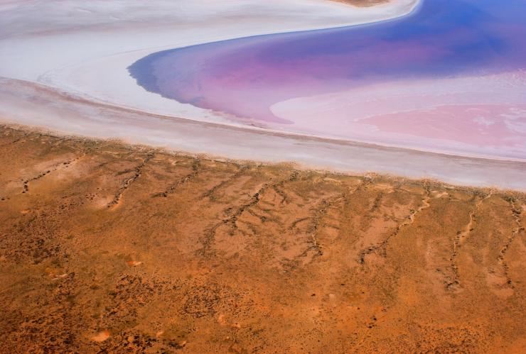 空中俯瞰南澳州內陸地區艾爾湖邊粉紅色中泛著紫色色調的湖水和沙岸景致©南澳州旅遊局