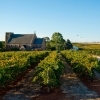 南澳（South Australia）克萊爾谷（Clare Valley）的七山丘酒窖（Sevenhill Cellars）©南澳旅遊局Adam Bruzzone