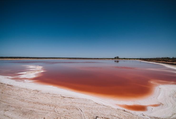 從白色堤岸遠眺維多利亞州米爾杜拉（Mildura）粉紅色墨累河鹽湖©Roberto Seba