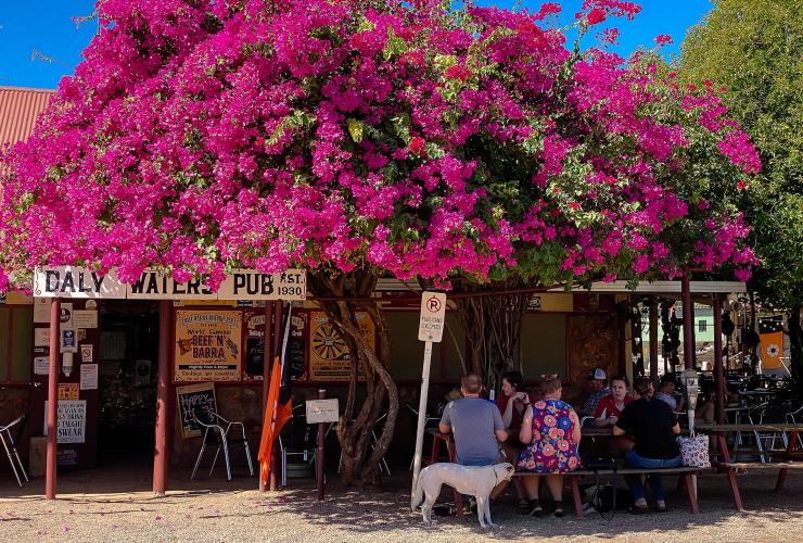北領地（Northern Territory）凱瑟琳（Katherine）的Daly Waters Pub酒吧©北領地旅遊局/Kate Flowers