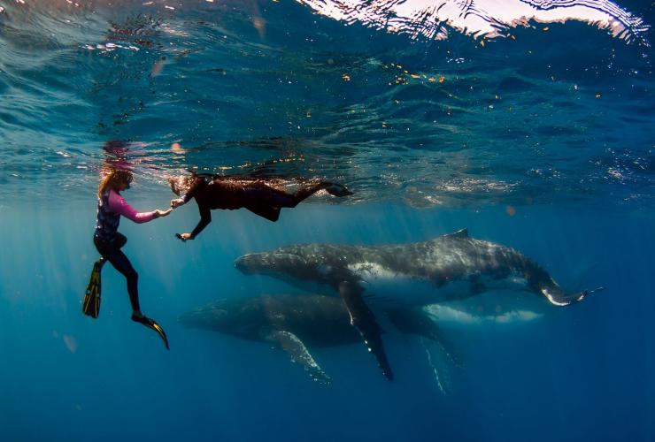 西澳州的Live Ningaloo旅行團©Live Ningaloo/Chris Jansen