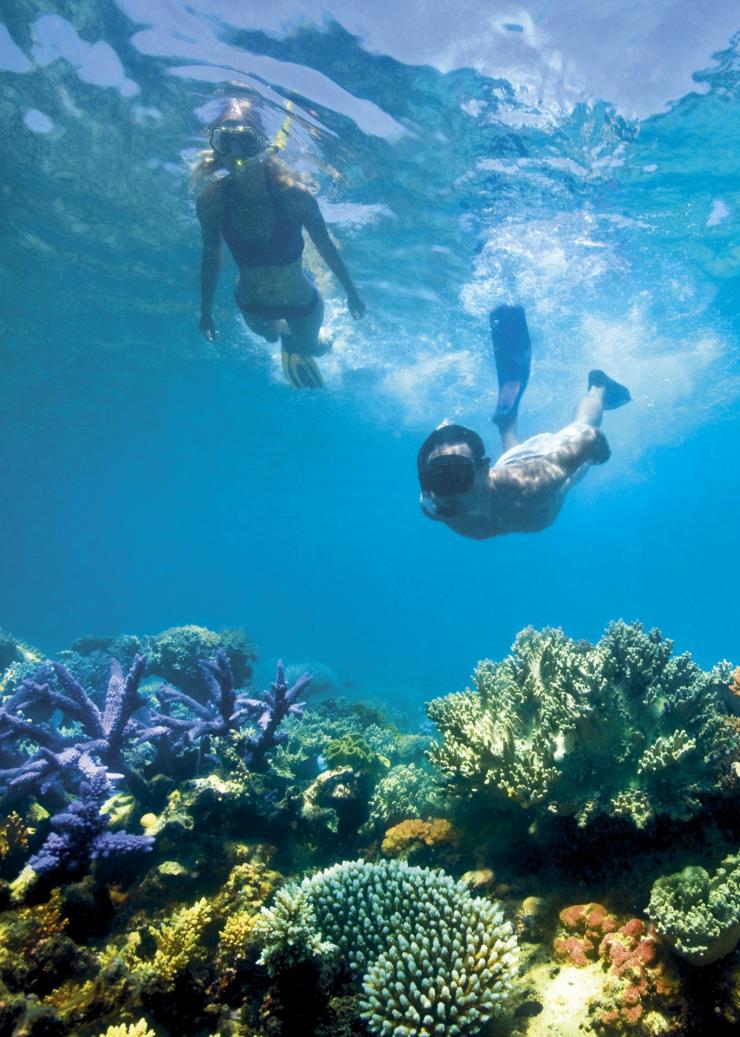 昆士蘭州大堡礁的蜥蜴島（Lizard Island）©Delaware North Companies