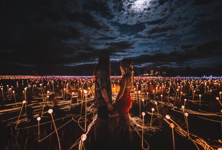 北領地烏魯魯的原野星光展（Field of Light）©北領地旅遊局/Laura Bell
