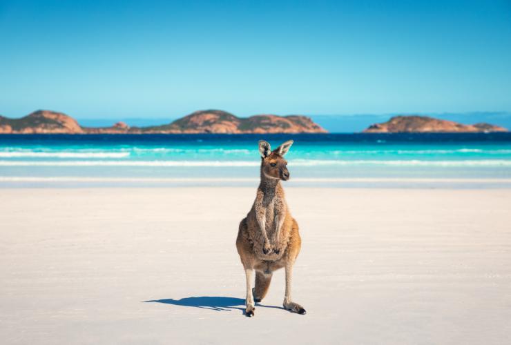 西澳州（Western Australia）勒格蘭德角國家公園（Cape Le Grand National Park）的幸運灣©澳洲旅遊局