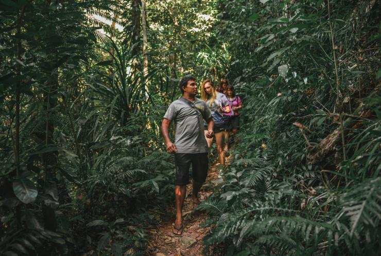 昆士蘭州戴恩樹國家公園（Daintree National Park）的短程流浪文化冒險之旅（Walkabout Cultural Adventures）©熱帶北昆士蘭旅遊局