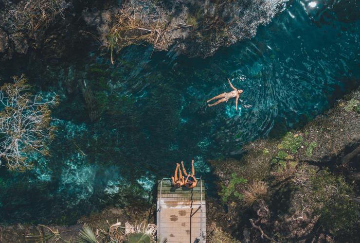 北領地埃爾西國家公園（Elsey National Park）的馬塔蘭卡溫泉（Mataranka Thermal Pool）©北領地旅遊局/Natalie Sum