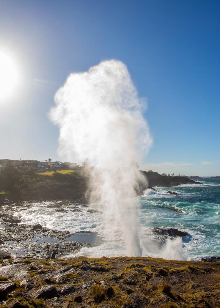 新南威爾士州凱阿瑪的凱阿瑪噴水洞（Kiama Blowhole）©新南威爾士州旅遊局