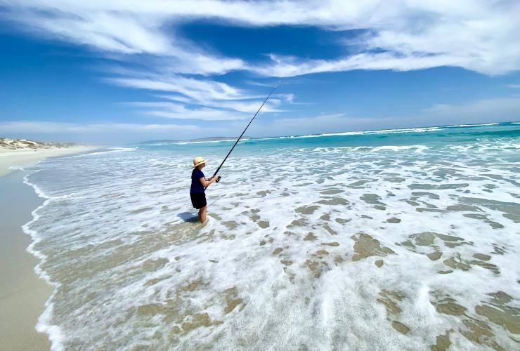 南澳州（South Australia）林肯港（Port Lincoln）的Australian Coastal Safaris©Australian Coastal Safaris