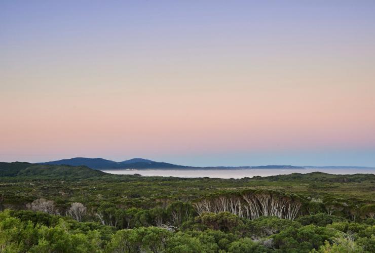 西澳州丹馬克比利海灘（Parry Beach）©Francis Andrijich